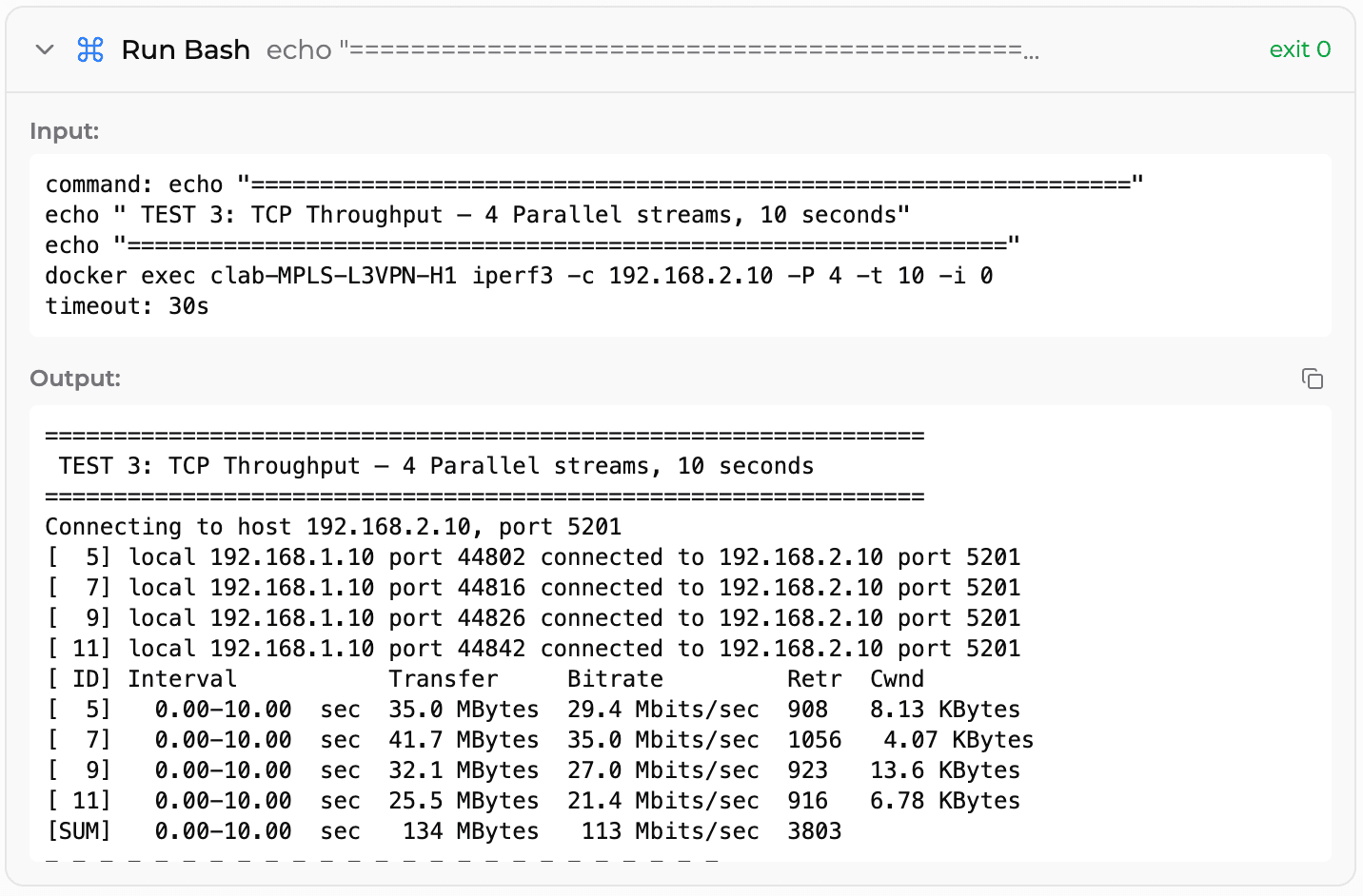 NetPilot iperf3 TCP throughput test running 4 parallel streams across MPLS L3VPN network showing 113 Mbits/sec aggregate bandwidth